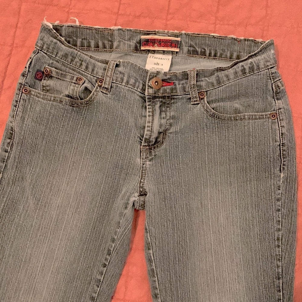 Vintage Low Rise Flared Leg Z Cavaricci Y2K Jeans